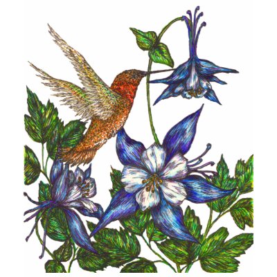 Rufous Hummingbird Tee Shirts by artbyjehf