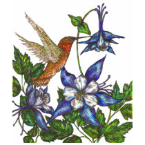 Rufous Hummingbird t-shirts by artbyjehf Rufous Hummingbird t-shirts