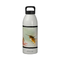 Rufus Hummingbird Water Bottle