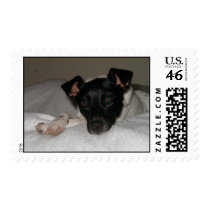 Rug Rat postage by tha3rdman Rug Rat postage