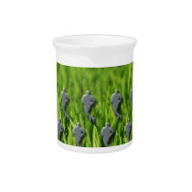 rugby on grass beverage pitchers