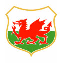 rugby wales red welsh dragon sports mascot shirt