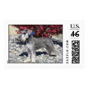 Ruger, Miniature Schnauzer postage by alkalicreek79 Ruger, Miniature Schnauzer postage