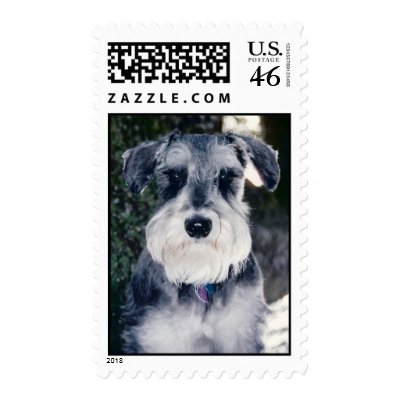 Ruger  stamps by alkalicreek79
