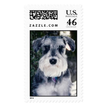 Ruger  stamps