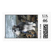 Ruger Stamps