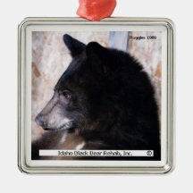 Ruggles Ornament