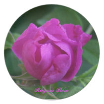 Rugosa Rose plates
