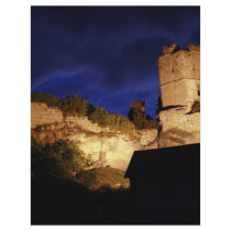Ruine1 flyers