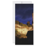 Ruine1 Custom Rack Card