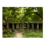 Ruins in the Jungle Postcards