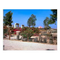 Ruins of  Capernaum, Galilee Postcard