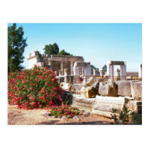 Ruins of  Capernaum, Galilee Postcard
