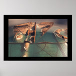 Ruins of Nautica posters