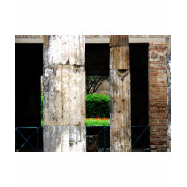 Ruins of Pompeii - Close-up of columns t-shirts