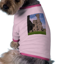 Ruins Of Richmond Castle pet clothing by lifesphere Ruins Of Richmond Castle pet clothing