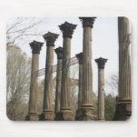 Ruins of Windsor