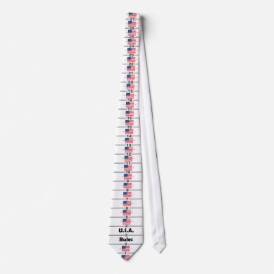 Ruler Tie - "USA Rules" by TiesRule