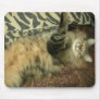 Rum Tum in repose Mouse Mat