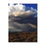 Rumbling In Post Card