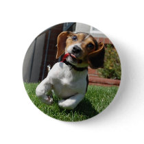 run beagle run! buttons by puppydogs run beagle run! buttons
