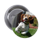 run beagle run! buttons