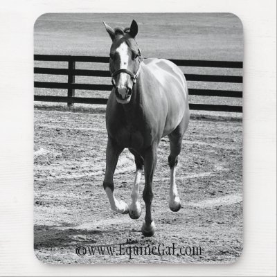 Run Free Mousepad by EquineGal