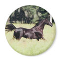 run like the wind magnets by ILuvMyMarlo run like the wind magnets
