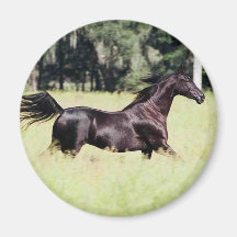 run like the wind refrigerator magnets