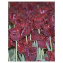 Run Through the Tulips flyers