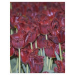 Run Through the Tulips letterhead