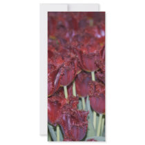 Run Through the Tulips rack cards