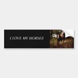 Run Wild Run Free bumper stickers