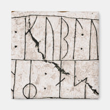 Rune DR 81 Fridge Magnets