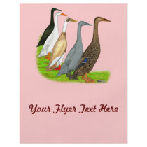 Runner Duck Assortment Flyer