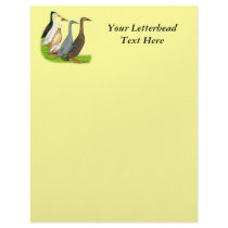 Runner Duck Assortment Letterhead Template