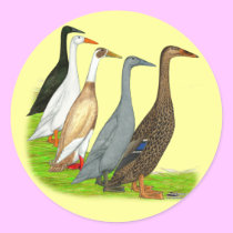 Runner Duck Assortment stickers