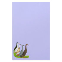 Runner Duck Assortment Stationery Paper