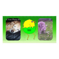 Running chicken personalized photo card