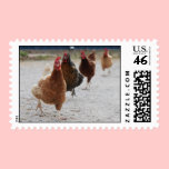 Running Chickens Postage stamps