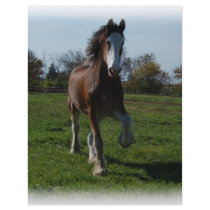Running Clydesdale letterhead by randolph259 Running Clydesdale letterhead