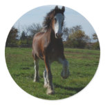 Running Clydesdale Stickers