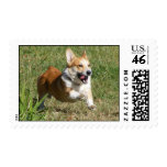 Running Corgi Postage Stamps