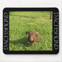 Running Doxie mousepads