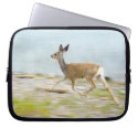 Laptop Cases