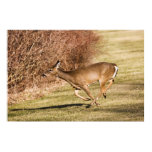 Running For Cover
