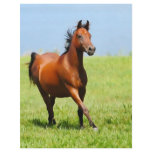 Running free flyers
