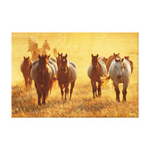Running Free Gallery Wrap Canvas