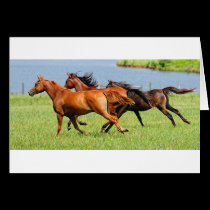 Running free cards