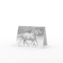 Running Free Horses Blank Note Card